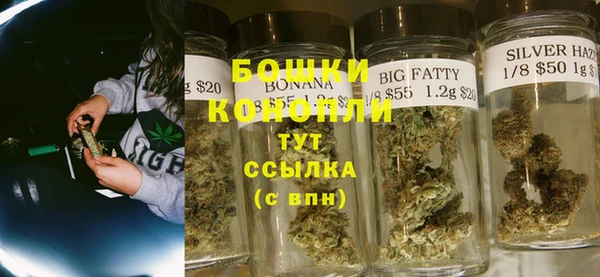 шишки Алзамай