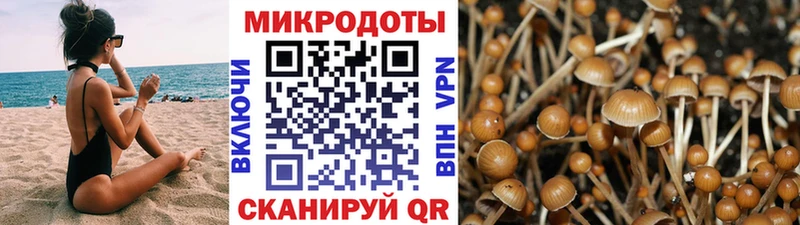 Псилоцибиновые грибы Magic Shrooms  где продают   гидра tor  маркетплейс наркотические препараты  Карабаново 